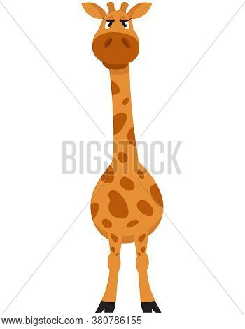 Standing Female Giraffe Front View. African Animal In Cartoon Style.