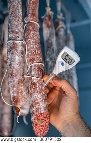 Mold Is Great For Traditional Salami Styles Dried At Lower Temperature And Low Humidity