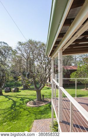 A Beautiful View Of Backyard Garden With Green Grass And Trees