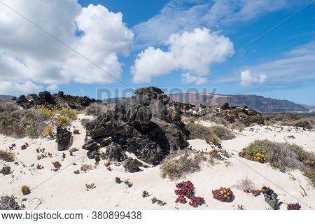 Landscape With Volcanic Rocks, Vegetation, Sand And Blue Sky In Caleton Blanco, Lanzarote, Spain