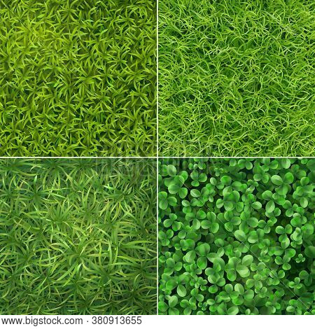 Ground Cover Plants Top View 4 Realistic Squares Set With Green Needle Grass Clover Leaves Vector Il