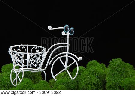 Image Of Bicycle Moss Dark Background Studio