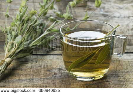 Glass Cup Of Herbal Sage Tea With Dried Sage Leaves On Wooden Rustic Background. Herbal Tea Hot Drin