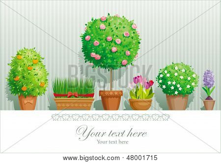 Peony çiçek tebrik kartları kümesi