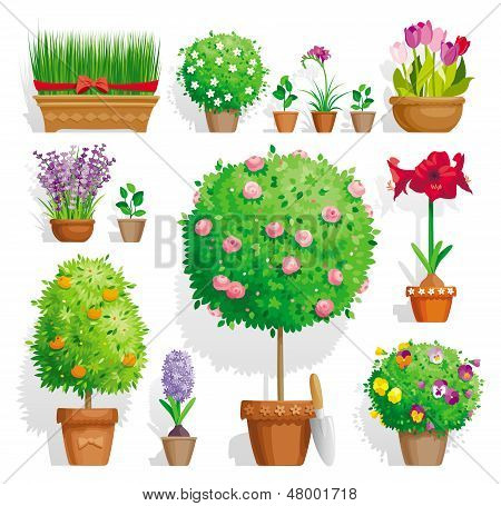 Peony çiçek tebrik kartları kümesi