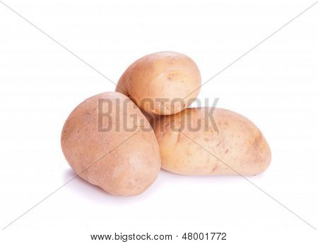 group of white raw potatoes