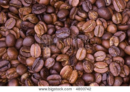 Grãos de café