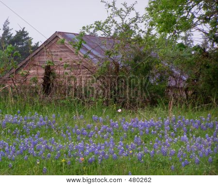 Rustikální Texas stodola