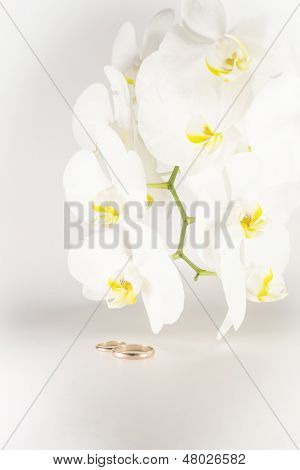 Orchidea és jegygyűrű