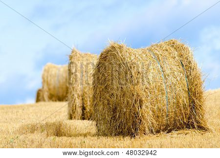Straw