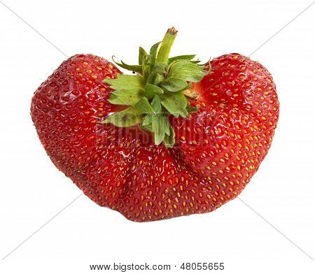 Une fraise de gros