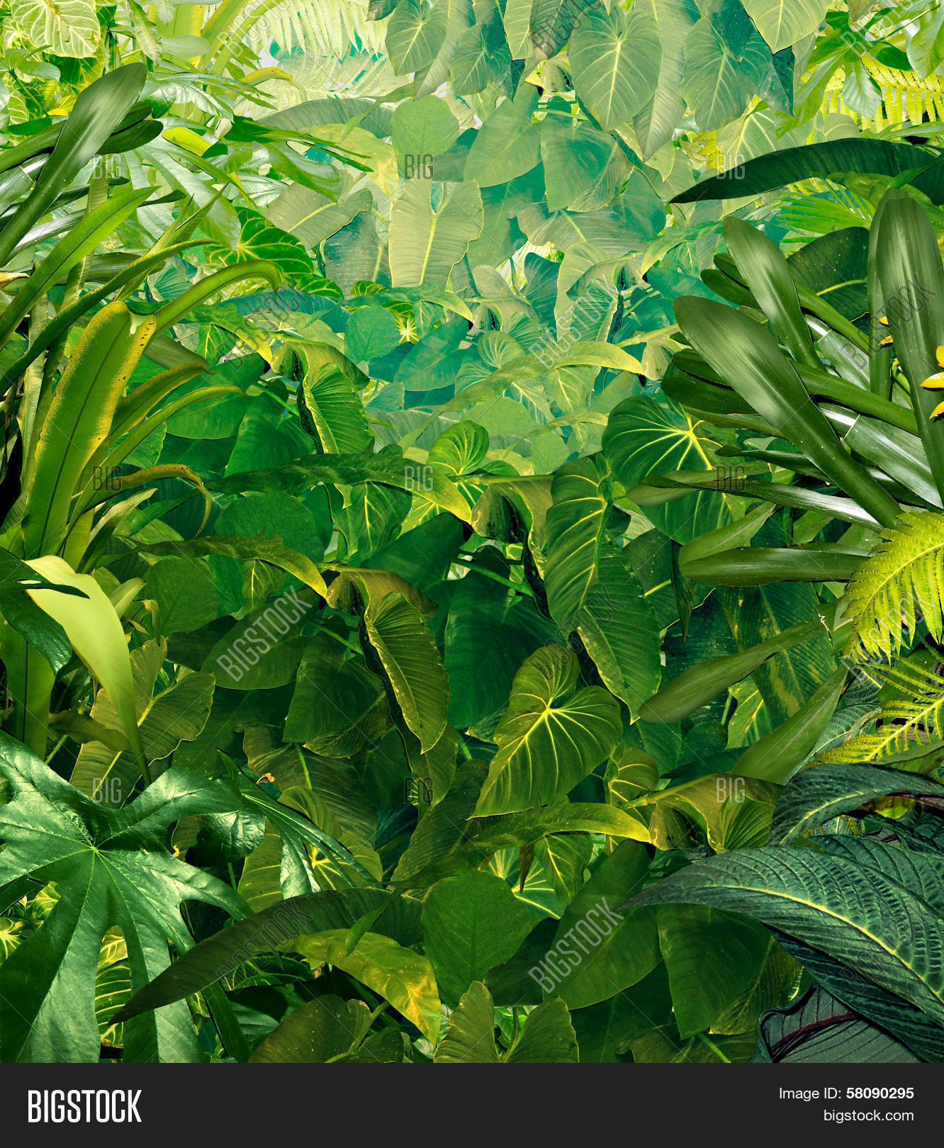Tropical Jungle Image & Photo (Free Trial) | Bigstock