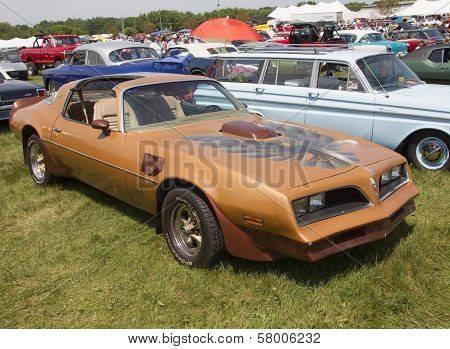 Pontiac Trans Am Copper Side View