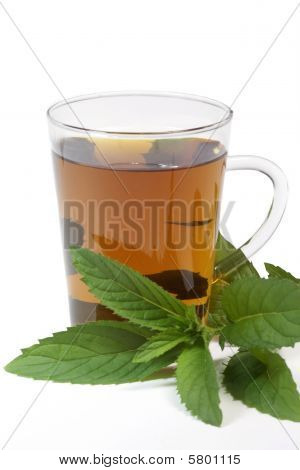 Borsmenta Tea