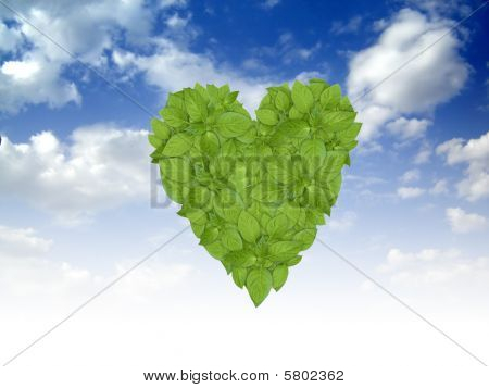 grön växt hjärta