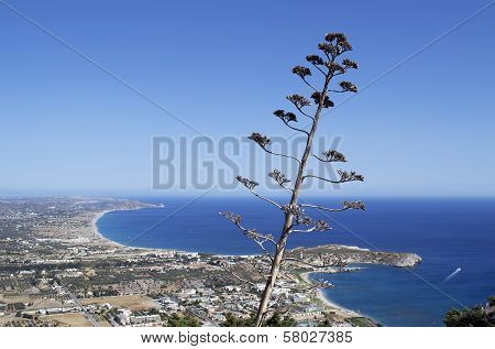 Afantou Beach From Tsambika Mountain
