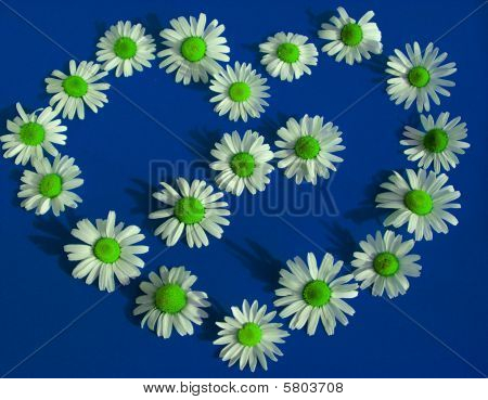 แห่งเวอร์ฟิลด์บนพื้นหลังสีฟ้าสดใส