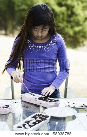 Preparing The Soil