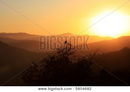 Nepal Poonhill Sunrise