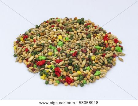 Bird Seeds