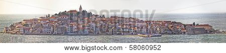 Town Of Primosten Panoramic View