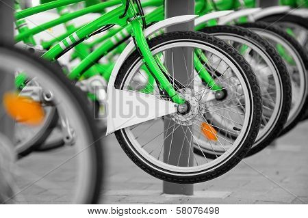 Rent A Green Bicycle