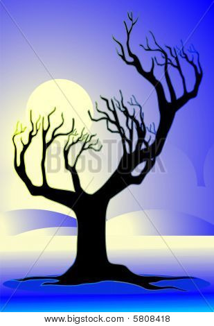 arbre