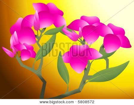 fleur de fleur