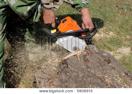 チェーンソーでの作業