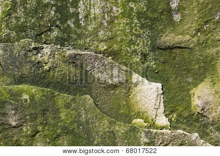 Background Mossy Limestone Rock