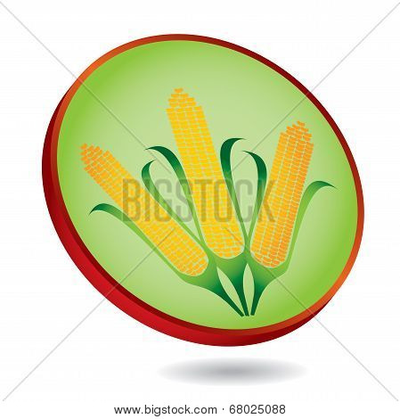 Corn, Maize Abstract Illustration