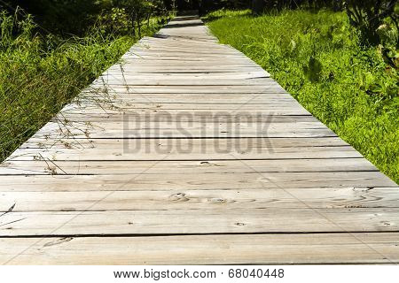 Wooden Boardwalk