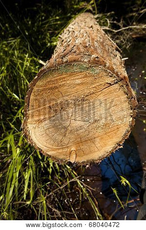 Log