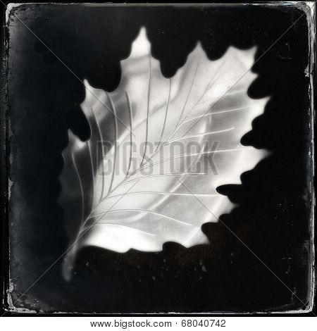 Instagram filtered image of a vintage metal autumn leaf