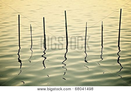 view of poles for fishing nets on standing water in La Albufera, Valencia, Spain