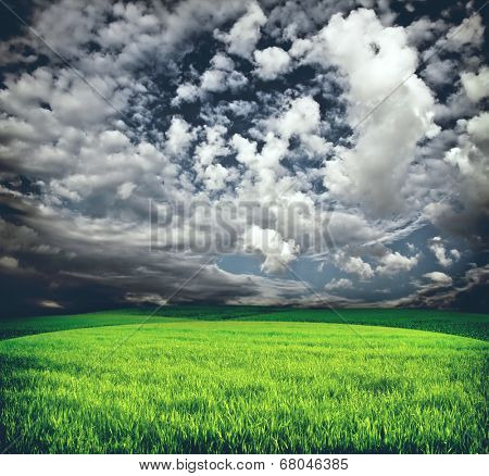 Storm clouds over green meadow with grass