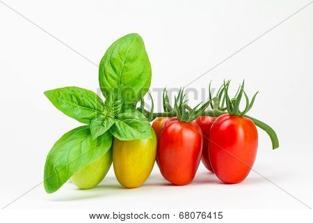 Garden Grape Tomatoes And Basil