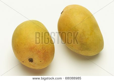 Alphonso mango from Maharashtra India.