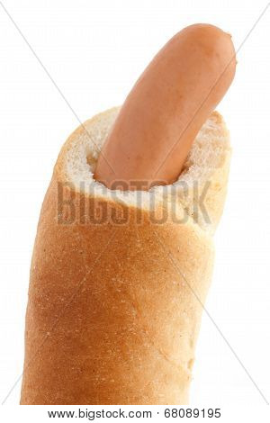 Traditional eurpean hotdog in a crispy bread roll