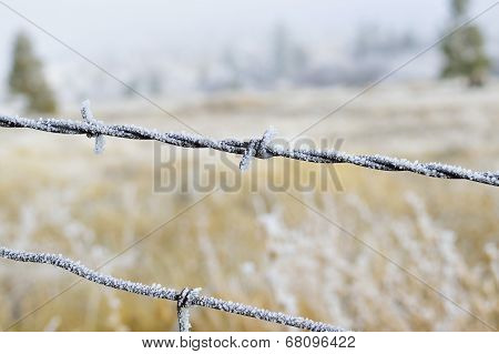 Landscape with Barbed wire
