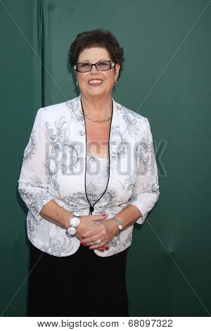 LOS ANGELES - JUL 8:  Debbie Macomber at the Crown Media Networks July 2014 TCA Party at the Private Estate on July 8, 2014 in Beverly Hills, CA