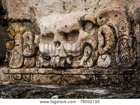 Mayan carvings skull