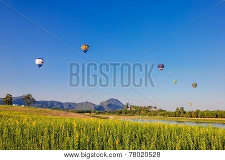 Hot Air Balloon Over Yellow Flower