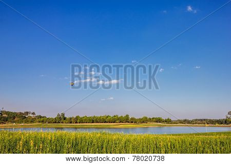 Hot Air Balloon Over Yellow Flower