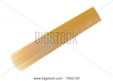 Reed für Klarinette