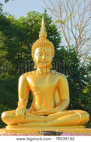 Gold Buddha