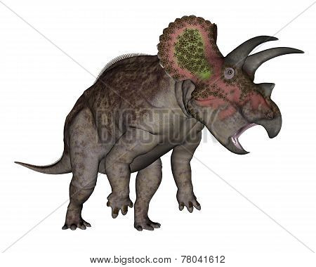Triceratops dinosaur standing up - 3D render
