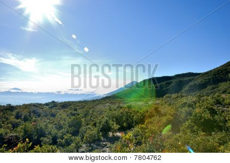 Grønt område Mount Papandayan