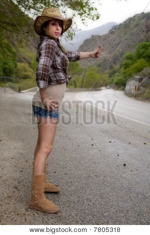 Hitch Hiker