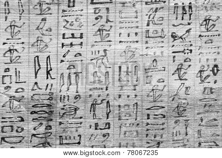 Book Of The Dead